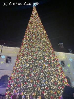 [P01] Bradul sibienilor-artificial de c&acirc;țiva ani » foto by AZE
 - 
&lt;span class=&quot;allrVoted glyphicon glyphicon-heart hidden&quot; id=&quot;av1341686&quot;&gt;&lt;/span&gt;
&lt;a class=&quot;m-l-10 hidden&quot; id=&quot;sv1341686&quot; onclick=&quot;voting_Foto_DelVot(,1341686,29199)&quot; role=&quot;button&quot;&gt;șterge vot &lt;span class=&quot;glyphicon glyphicon-remove&quot;&gt;&lt;/span&gt;&lt;/a&gt;
&lt;a id=&quot;v91341686&quot; class=&quot; c-red&quot;  onclick=&quot;voting_Foto_SetVot(1341686)&quot; role=&quot;button&quot;&gt;&lt;span class=&quot;glyphicon glyphicon-heart-empty&quot;&gt;&lt;/span&gt; &lt;b&gt;LIKE&lt;/b&gt; = Votează poza&lt;/a&gt; &lt;img class=&quot;hidden&quot;  id=&quot;f1341686W9&quot; src=&quot;/imagini/loader.gif&quot; border=&quot;0&quot; /&gt;&lt;span class=&quot;AjErrMes hidden&quot; id=&quot;e1341686ErM&quot;&gt;&lt;/span&gt;