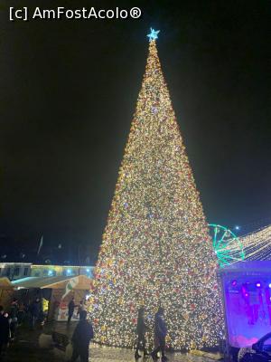 [P10] Bradul artificial » foto by AZE
 - 
&lt;span class=&quot;allrVoted glyphicon glyphicon-heart hidden&quot; id=&quot;av1341695&quot;&gt;&lt;/span&gt;
&lt;a class=&quot;m-l-10 hidden&quot; id=&quot;sv1341695&quot; onclick=&quot;voting_Foto_DelVot(,1341695,29199)&quot; role=&quot;button&quot;&gt;șterge vot &lt;span class=&quot;glyphicon glyphicon-remove&quot;&gt;&lt;/span&gt;&lt;/a&gt;
&lt;a id=&quot;v91341695&quot; class=&quot; c-red&quot;  onclick=&quot;voting_Foto_SetVot(1341695)&quot; role=&quot;button&quot;&gt;&lt;span class=&quot;glyphicon glyphicon-heart-empty&quot;&gt;&lt;/span&gt; &lt;b&gt;LIKE&lt;/b&gt; = Votează poza&lt;/a&gt; &lt;img class=&quot;hidden&quot;  id=&quot;f1341695W9&quot; src=&quot;/imagini/loader.gif&quot; border=&quot;0&quot; /&gt;&lt;span class=&quot;AjErrMes hidden&quot; id=&quot;e1341695ErM&quot;&gt;&lt;/span&gt;