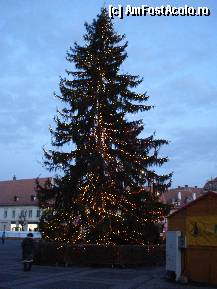 [P23] Sibiu -Piata Mare - Targul de Craciun, bradul din fata Primariei » foto by Diaura*
 - 
&lt;span class=&quot;allrVoted glyphicon glyphicon-heart hidden&quot; id=&quot;av284253&quot;&gt;&lt;/span&gt;
&lt;a class=&quot;m-l-10 hidden&quot; id=&quot;sv284253&quot; onclick=&quot;voting_Foto_DelVot(,284253,29199)&quot; role=&quot;button&quot;&gt;șterge vot &lt;span class=&quot;glyphicon glyphicon-remove&quot;&gt;&lt;/span&gt;&lt;/a&gt;
&lt;a id=&quot;v9284253&quot; class=&quot; c-red&quot;  onclick=&quot;voting_Foto_SetVot(284253)&quot; role=&quot;button&quot;&gt;&lt;span class=&quot;glyphicon glyphicon-heart-empty&quot;&gt;&lt;/span&gt; &lt;b&gt;LIKE&lt;/b&gt; = Votează poza&lt;/a&gt; &lt;img class=&quot;hidden&quot;  id=&quot;f284253W9&quot; src=&quot;/imagini/loader.gif&quot; border=&quot;0&quot; /&gt;&lt;span class=&quot;AjErrMes hidden&quot; id=&quot;e284253ErM&quot;&gt;&lt;/span&gt;