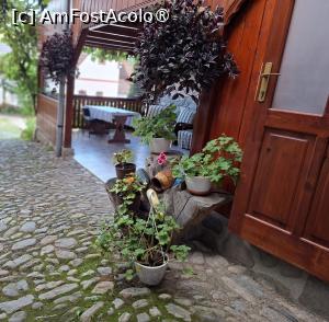 [P15] Pensiunea Cristina - filigoria » foto by Carmen Ion
 - 
<span class="allrVoted glyphicon glyphicon-heart hidden" id="av1510262"></span>
<a class="m-l-10 hidden" id="sv1510262" onclick="voting_Foto_DelVot(,1510262,29200)" role="button">șterge vot <span class="glyphicon glyphicon-remove"></span></a>
<a id="v91510262" class=" c-red"  onclick="voting_Foto_SetVot(1510262)" role="button"><span class="glyphicon glyphicon-heart-empty"></span> <b>LIKE</b> = Votează poza</a> <img class="hidden"  id="f1510262W9" src="/imagini/loader.gif" border="0" /><span class="AjErrMes hidden" id="e1510262ErM"></span>