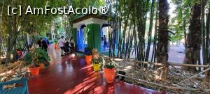 [P12] Marrakech, Grădina Majorelle, Foișorul vopsit în verde și albastru, poză micșorată la jumătate » foto by mprofeanu
 - 
<span class="allrVoted glyphicon glyphicon-heart hidden" id="av1483259"></span>
<a class="m-l-10 hidden" id="sv1483259" onclick="voting_Foto_DelVot(,1483259,29203)" role="button">șterge vot <span class="glyphicon glyphicon-remove"></span></a>
<a id="v91483259" class=" c-red"  onclick="voting_Foto_SetVot(1483259)" role="button"><span class="glyphicon glyphicon-heart-empty"></span> <b>LIKE</b> = Votează poza</a> <img class="hidden"  id="f1483259W9" src="/imagini/loader.gif" border="0" /><span class="AjErrMes hidden" id="e1483259ErM"></span>