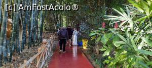 [P20] Marrakech, Grădina Majorelle, Plantația de Bambus » foto by mprofeanu
 - 
<span class="allrVoted glyphicon glyphicon-heart hidden" id="av1483267"></span>
<a class="m-l-10 hidden" id="sv1483267" onclick="voting_Foto_DelVot(,1483267,29203)" role="button">șterge vot <span class="glyphicon glyphicon-remove"></span></a>
<a id="v91483267" class=" c-red"  onclick="voting_Foto_SetVot(1483267)" role="button"><span class="glyphicon glyphicon-heart-empty"></span> <b>LIKE</b> = Votează poza</a> <img class="hidden"  id="f1483267W9" src="/imagini/loader.gif" border="0" /><span class="AjErrMes hidden" id="e1483267ErM"></span>