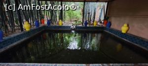 [P20] Bazin » foto by irinad
 - 
<span class="allrVoted glyphicon glyphicon-heart hidden" id="av1510624"></span>
<a class="m-l-10 hidden" id="sv1510624" onclick="voting_Foto_DelVot(,1510624,29203)" role="button">șterge vot <span class="glyphicon glyphicon-remove"></span></a>
<a id="v91510624" class=" c-red"  onclick="voting_Foto_SetVot(1510624)" role="button"><span class="glyphicon glyphicon-heart-empty"></span> <b>LIKE</b> = Votează poza</a> <img class="hidden"  id="f1510624W9" src="/imagini/loader.gif" border="0" /><span class="AjErrMes hidden" id="e1510624ErM"></span>