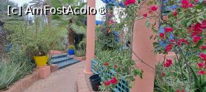 [P51] Flori, multe flori și multe culori » foto by irinad
 - 
<span class="allrVoted glyphicon glyphicon-heart hidden" id="av1510655"></span>
<a class="m-l-10 hidden" id="sv1510655" onclick="voting_Foto_DelVot(,1510655,29203)" role="button">șterge vot <span class="glyphicon glyphicon-remove"></span></a>
<a id="v91510655" class=" c-red"  onclick="voting_Foto_SetVot(1510655)" role="button"><span class="glyphicon glyphicon-heart-empty"></span> <b>LIKE</b> = Votează poza</a> <img class="hidden"  id="f1510655W9" src="/imagini/loader.gif" border="0" /><span class="AjErrMes hidden" id="e1510655ErM"></span>