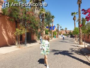 [P15]  -- <small>// FĂRĂ DESCRIERE</small> » foto by geani anto
 - 
<span class="allrVoted glyphicon glyphicon-heart hidden" id="av1309431"></span>
<a class="m-l-10 hidden" id="sv1309431" onclick="voting_Foto_DelVot(,1309431,29203)" role="button">șterge vot <span class="glyphicon glyphicon-remove"></span></a>
<a id="v91309431" class=" c-red"  onclick="voting_Foto_SetVot(1309431)" role="button"><span class="glyphicon glyphicon-heart-empty"></span> <b>LIKE</b> = Votează poza</a> <img class="hidden"  id="f1309431W9" src="/imagini/loader.gif" border="0" /><span class="AjErrMes hidden" id="e1309431ErM"></span>