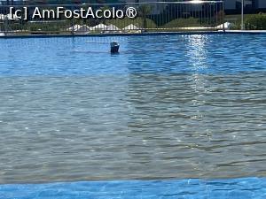 [P83] Rixos Radamis Tirana - la piscină » foto by nicole33
 - 
<span class="allrVoted glyphicon glyphicon-heart hidden" id="av1510943"></span>
<a class="m-l-10 hidden" id="sv1510943" onclick="voting_Foto_DelVot(,1510943,29204)" role="button">șterge vot <span class="glyphicon glyphicon-remove"></span></a>
<a id="v91510943" class=" c-red"  onclick="voting_Foto_SetVot(1510943)" role="button"><span class="glyphicon glyphicon-heart-empty"></span> <b>LIKE</b> = Votează poza</a> <img class="hidden"  id="f1510943W9" src="/imagini/loader.gif" border="0" /><span class="AjErrMes hidden" id="e1510943ErM"></span>