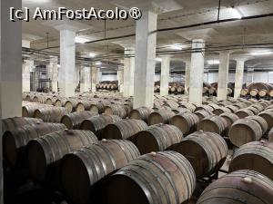 [P30] Crama Murfatlar » foto by mishu
 - 
<span class="allrVoted glyphicon glyphicon-heart hidden" id="av1521755"></span>
<a class="m-l-10 hidden" id="sv1521755" onclick="voting_Foto_DelVot(,1521755,29208)" role="button">șterge vot <span class="glyphicon glyphicon-remove"></span></a>
<a id="v91521755" class=" c-red"  onclick="voting_Foto_SetVot(1521755)" role="button"><span class="glyphicon glyphicon-heart-empty"></span> <b>LIKE</b> = Votează poza</a> <img class="hidden"  id="f1521755W9" src="/imagini/loader.gif" border="0" /><span class="AjErrMes hidden" id="e1521755ErM"></span>