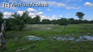 [P31] prin parcul natural » foto by robert
 - 
<span class="allrVoted glyphicon glyphicon-heart hidden" id="av1513779"></span>
<a class="m-l-10 hidden" id="sv1513779" onclick="voting_Foto_DelVot(,1513779,29229)" role="button">șterge vot <span class="glyphicon glyphicon-remove"></span></a>
<a id="v91513779" class=" c-red"  onclick="voting_Foto_SetVot(1513779)" role="button"><span class="glyphicon glyphicon-heart-empty"></span> <b>LIKE</b> = Votează poza</a> <img class="hidden"  id="f1513779W9" src="/imagini/loader.gif" border="0" /><span class="AjErrMes hidden" id="e1513779ErM"></span>