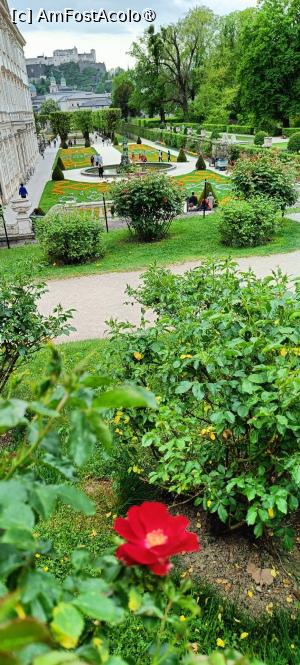 [P02] Vedere de sus spre parterul mic; pe fundal Domul și cetatea. » foto by tata123 🔱
 - 
<span class="allrVoted glyphicon glyphicon-heart hidden" id="av1518854"></span>
<a class="m-l-10 hidden" id="sv1518854" onclick="voting_Foto_DelVot(,1518854,29235)" role="button">șterge vot <span class="glyphicon glyphicon-remove"></span></a>
<a id="v91518854" class=" c-red"  onclick="voting_Foto_SetVot(1518854)" role="button"><span class="glyphicon glyphicon-heart-empty"></span> <b>LIKE</b> = Votează poza</a> <img class="hidden"  id="f1518854W9" src="/imagini/loader.gif" border="0" /><span class="AjErrMes hidden" id="e1518854ErM"></span>