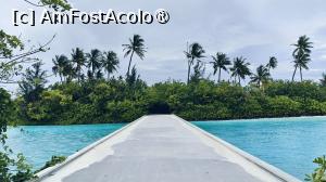 [P41]  -- <small>// FĂRĂ DESCRIERE</small> » foto by elenaadina
 - 
<span class="allrVoted glyphicon glyphicon-heart hidden" id="av1518344"></span>
<a class="m-l-10 hidden" id="sv1518344" onclick="voting_Foto_DelVot(,1518344,29256)" role="button">șterge vot <span class="glyphicon glyphicon-remove"></span></a>
<a id="v91518344" class=" c-red"  onclick="voting_Foto_SetVot(1518344)" role="button"><span class="glyphicon glyphicon-heart-empty"></span> <b>LIKE</b> = Votează poza</a> <img class="hidden"  id="f1518344W9" src="/imagini/loader.gif" border="0" /><span class="AjErrMes hidden" id="e1518344ErM"></span>