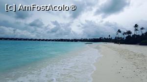 [P43]  -- <small>// FĂRĂ DESCRIERE</small> » foto by elenaadina
 - 
<span class="allrVoted glyphicon glyphicon-heart hidden" id="av1518346"></span>
<a class="m-l-10 hidden" id="sv1518346" onclick="voting_Foto_DelVot(,1518346,29256)" role="button">șterge vot <span class="glyphicon glyphicon-remove"></span></a>
<a id="v91518346" class=" c-red"  onclick="voting_Foto_SetVot(1518346)" role="button"><span class="glyphicon glyphicon-heart-empty"></span> <b>LIKE</b> = Votează poza</a> <img class="hidden"  id="f1518346W9" src="/imagini/loader.gif" border="0" /><span class="AjErrMes hidden" id="e1518346ErM"></span>