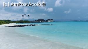 [P45]  -- <small>// FĂRĂ DESCRIERE</small> » foto by elenaadina
 - 
<span class="allrVoted glyphicon glyphicon-heart hidden" id="av1518348"></span>
<a class="m-l-10 hidden" id="sv1518348" onclick="voting_Foto_DelVot(,1518348,29256)" role="button">șterge vot <span class="glyphicon glyphicon-remove"></span></a>
<a id="v91518348" class=" c-red"  onclick="voting_Foto_SetVot(1518348)" role="button"><span class="glyphicon glyphicon-heart-empty"></span> <b>LIKE</b> = Votează poza</a> <img class="hidden"  id="f1518348W9" src="/imagini/loader.gif" border="0" /><span class="AjErrMes hidden" id="e1518348ErM"></span>