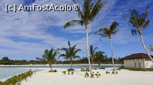 [P57]  -- <small>// FĂRĂ DESCRIERE</small> » foto by elenaadina
 - 
<span class="allrVoted glyphicon glyphicon-heart hidden" id="av1518360"></span>
<a class="m-l-10 hidden" id="sv1518360" onclick="voting_Foto_DelVot(,1518360,29256)" role="button">șterge vot <span class="glyphicon glyphicon-remove"></span></a>
<a id="v91518360" class=" c-red"  onclick="voting_Foto_SetVot(1518360)" role="button"><span class="glyphicon glyphicon-heart-empty"></span> <b>LIKE</b> = Votează poza</a> <img class="hidden"  id="f1518360W9" src="/imagini/loader.gif" border="0" /><span class="AjErrMes hidden" id="e1518360ErM"></span>