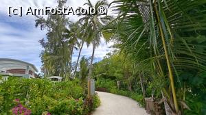 [P60]  -- <small>// FĂRĂ DESCRIERE</small> » foto by elenaadina
 - 
<span class="allrVoted glyphicon glyphicon-heart hidden" id="av1518363"></span>
<a class="m-l-10 hidden" id="sv1518363" onclick="voting_Foto_DelVot(,1518363,29256)" role="button">șterge vot <span class="glyphicon glyphicon-remove"></span></a>
<a id="v91518363" class=" c-red"  onclick="voting_Foto_SetVot(1518363)" role="button"><span class="glyphicon glyphicon-heart-empty"></span> <b>LIKE</b> = Votează poza</a> <img class="hidden"  id="f1518363W9" src="/imagini/loader.gif" border="0" /><span class="AjErrMes hidden" id="e1518363ErM"></span>