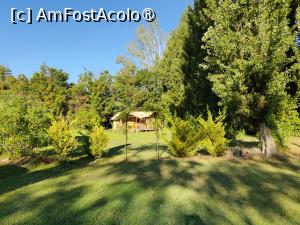 [P30] Domeniul exterior » foto by crismis
 - 
<span class="allrVoted glyphicon glyphicon-heart hidden" id="av1522458"></span>
<a class="m-l-10 hidden" id="sv1522458" onclick="voting_Foto_DelVot(,1522458,29284)" role="button">șterge vot <span class="glyphicon glyphicon-remove"></span></a>
<a id="v91522458" class=" c-red"  onclick="voting_Foto_SetVot(1522458)" role="button"><span class="glyphicon glyphicon-heart-empty"></span> <b>LIKE</b> = Votează poza</a> <img class="hidden"  id="f1522458W9" src="/imagini/loader.gif" border="0" /><span class="AjErrMes hidden" id="e1522458ErM"></span>