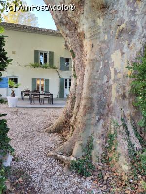 [P54] O parte din trunchiul unuia dintre platani » foto by crismis
 - 
<span class="allrVoted glyphicon glyphicon-heart hidden" id="av1522482"></span>
<a class="m-l-10 hidden" id="sv1522482" onclick="voting_Foto_DelVot(,1522482,29284)" role="button">șterge vot <span class="glyphicon glyphicon-remove"></span></a>
<a id="v91522482" class=" c-red"  onclick="voting_Foto_SetVot(1522482)" role="button"><span class="glyphicon glyphicon-heart-empty"></span> <b>LIKE</b> = Votează poza</a> <img class="hidden"  id="f1522482W9" src="/imagini/loader.gif" border="0" /><span class="AjErrMes hidden" id="e1522482ErM"></span>