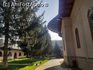 [P28] Mănăstirea Grăjdeni » foto by adso
 - 
<span class="allrVoted glyphicon glyphicon-heart hidden" id="av1524236"></span>
<a class="m-l-10 hidden" id="sv1524236" onclick="voting_Foto_DelVot(,1524236,29292)" role="button">șterge vot <span class="glyphicon glyphicon-remove"></span></a>
<a id="v91524236" class=" c-red"  onclick="voting_Foto_SetVot(1524236)" role="button"><span class="glyphicon glyphicon-heart-empty"></span> <b>LIKE</b> = Votează poza</a> <img class="hidden"  id="f1524236W9" src="/imagini/loader.gif" border="0" /><span class="AjErrMes hidden" id="e1524236ErM"></span>