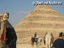 [P17] langa Piramida in trepte, locul este impanzit de cai, camile si magarusi » foto by nicoletass
 - 
<span class="allrVoted glyphicon glyphicon-heart hidden" id="av222261"></span>
<a class="m-l-10 hidden" id="sv222261" onclick="voting_Foto_DelVot(,222261,29302)" role="button">șterge vot <span class="glyphicon glyphicon-remove"></span></a>
<a id="v9222261" class=" c-red"  onclick="voting_Foto_SetVot(222261)" role="button"><span class="glyphicon glyphicon-heart-empty"></span> <b>LIKE</b> = Votează poza</a> <img class="hidden"  id="f222261W9" src="/imagini/loader.gif" border="0" /><span class="AjErrMes hidden" id="e222261ErM"></span>