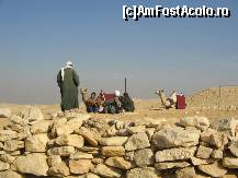 [P06] la iesire, camilele si 'soferii' ne asteapta » foto by nicoletass
 - 
<span class="allrVoted glyphicon glyphicon-heart hidden" id="av222236"></span>
<a class="m-l-10 hidden" id="sv222236" onclick="voting_Foto_DelVot(,222236,29302)" role="button">șterge vot <span class="glyphicon glyphicon-remove"></span></a>
<a id="v9222236" class=" c-red"  onclick="voting_Foto_SetVot(222236)" role="button"><span class="glyphicon glyphicon-heart-empty"></span> <b>LIKE</b> = Votează poza</a> <img class="hidden"  id="f222236W9" src="/imagini/loader.gif" border="0" /><span class="AjErrMes hidden" id="e222236ErM"></span>