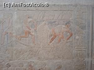 [P31] Necropola Saqqara, Mastaba lui Mereruka, Scenă agricolă și chenar cu păsări, plante și tulpini » foto by mprofeanu
 - 
<span class="allrVoted glyphicon glyphicon-heart hidden" id="av1525354"></span>
<a class="m-l-10 hidden" id="sv1525354" onclick="voting_Foto_DelVot(,1525354,29302)" role="button">șterge vot <span class="glyphicon glyphicon-remove"></span></a>
<a id="v91525354" class=" c-red"  onclick="voting_Foto_SetVot(1525354)" role="button"><span class="glyphicon glyphicon-heart-empty"></span> <b>LIKE</b> = Votează poza</a> <img class="hidden"  id="f1525354W9" src="/imagini/loader.gif" border="0" /><span class="AjErrMes hidden" id="e1525354ErM"></span>