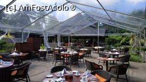 [P56] la micul dejun » foto by elenaadina
 - 
<span class="allrVoted glyphicon glyphicon-heart hidden" id="av1527990"></span>
<a class="m-l-10 hidden" id="sv1527990" onclick="voting_Foto_DelVot(,1527990,29323)" role="button">șterge vot <span class="glyphicon glyphicon-remove"></span></a>
<a id="v91527990" class=" c-red"  onclick="voting_Foto_SetVot(1527990)" role="button"><span class="glyphicon glyphicon-heart-empty"></span> <b>LIKE</b> = Votează poza</a> <img class="hidden"  id="f1527990W9" src="/imagini/loader.gif" border="0" /><span class="AjErrMes hidden" id="e1527990ErM"></span>