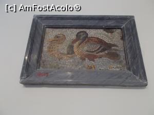 [P11] Muzeul Național de Arheologie, Napoli. Mozaic cu reprezentare zoomorfă. » foto by mihaelavoicu
 - 
<span class="allrVoted glyphicon glyphicon-heart hidden" id="av1188225"></span>
<a class="m-l-10 hidden" id="sv1188225" onclick="voting_Foto_DelVot(,1188225,29347)" role="button">șterge vot <span class="glyphicon glyphicon-remove"></span></a>
<a id="v91188225" class=" c-red"  onclick="voting_Foto_SetVot(1188225)" role="button"><span class="glyphicon glyphicon-heart-empty"></span> <b>LIKE</b> = Votează poza</a> <img class="hidden"  id="f1188225W9" src="/imagini/loader.gif" border="0" /><span class="AjErrMes hidden" id="e1188225ErM"></span>