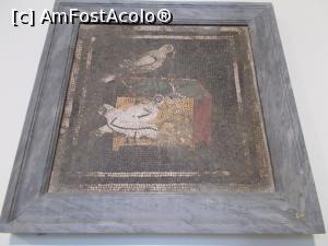 [P06] Muzeul Național de Arheologie, Napoli. Porumbei &icirc;nșir&acirc;nd perle. Mozaic din Casa del Fauno, Pompei. » foto by mihaelavoicu
 - 
<span class="allrVoted glyphicon glyphicon-heart hidden" id="av1188220"></span>
<a class="m-l-10 hidden" id="sv1188220" onclick="voting_Foto_DelVot(,1188220,29347)" role="button">șterge vot <span class="glyphicon glyphicon-remove"></span></a>
<a id="v91188220" class=" c-red"  onclick="voting_Foto_SetVot(1188220)" role="button"><span class="glyphicon glyphicon-heart-empty"></span> <b>LIKE</b> = Votează poza</a> <img class="hidden"  id="f1188220W9" src="/imagini/loader.gif" border="0" /><span class="AjErrMes hidden" id="e1188220ErM"></span>