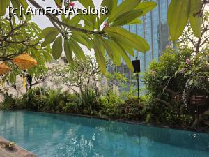 [P72] The Myst Hotel; din nou la piscină » foto by crismis
 - 
<span class="allrVoted glyphicon glyphicon-heart hidden" id="av1534765"></span>
<a class="m-l-10 hidden" id="sv1534765" onclick="voting_Foto_DelVot(,1534765,29376)" role="button">șterge vot <span class="glyphicon glyphicon-remove"></span></a>
<a id="v91534765" class=" c-red"  onclick="voting_Foto_SetVot(1534765)" role="button"><span class="glyphicon glyphicon-heart-empty"></span> <b>LIKE</b> = Votează poza</a> <img class="hidden"  id="f1534765W9" src="/imagini/loader.gif" border="0" /><span class="AjErrMes hidden" id="e1534765ErM"></span>