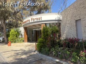[P77] Rixos Montaza Alexandria - Cleopatra Forest » foto by nicole33
 - 
<span class="allrVoted glyphicon glyphicon-heart hidden" id="av1546000"></span>
<a class="m-l-10 hidden" id="sv1546000" onclick="voting_Foto_DelVot(,1546000,29398)" role="button">șterge vot <span class="glyphicon glyphicon-remove"></span></a>
<a id="v91546000" class=" c-red"  onclick="voting_Foto_SetVot(1546000)" role="button"><span class="glyphicon glyphicon-heart-empty"></span> <b>LIKE</b> = Votează poza</a> <img class="hidden"  id="f1546000W9" src="/imagini/loader.gif" border="0" /><span class="AjErrMes hidden" id="e1546000ErM"></span>