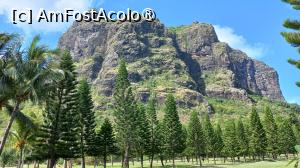 [P01] Dinarobin Beachcomber Golf Resort & Spa – la poalele muntelui Le Morne » foto by elenaadina
 - 
<span class="allrVoted glyphicon glyphicon-heart hidden" id="av1537383"></span>
<a class="m-l-10 hidden" id="sv1537383" onclick="voting_Foto_DelVot(,1537383,29403)" role="button">șterge vot <span class="glyphicon glyphicon-remove"></span></a>
<a id="v91537383" class=" c-red"  onclick="voting_Foto_SetVot(1537383)" role="button"><span class="glyphicon glyphicon-heart-empty"></span> <b>LIKE</b> = Votează poza</a> <img class="hidden"  id="f1537383W9" src="/imagini/loader.gif" border="0" /><span class="AjErrMes hidden" id="e1537383ErM"></span>