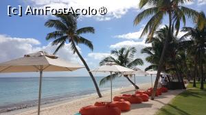 [P15] Dinarobin Beachcomber » foto by elenaadina
 - 
<span class="allrVoted glyphicon glyphicon-heart hidden" id="av1537397"></span>
<a class="m-l-10 hidden" id="sv1537397" onclick="voting_Foto_DelVot(,1537397,29403)" role="button">șterge vot <span class="glyphicon glyphicon-remove"></span></a>
<a id="v91537397" class=" c-red"  onclick="voting_Foto_SetVot(1537397)" role="button"><span class="glyphicon glyphicon-heart-empty"></span> <b>LIKE</b> = Votează poza</a> <img class="hidden"  id="f1537397W9" src="/imagini/loader.gif" border="0" /><span class="AjErrMes hidden" id="e1537397ErM"></span>