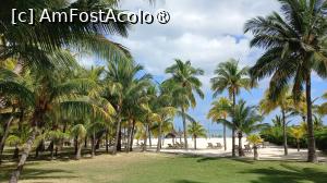 [P34] Dinarobin Beachcomber » foto by elenaadina
 - 
<span class="allrVoted glyphicon glyphicon-heart hidden" id="av1537416"></span>
<a class="m-l-10 hidden" id="sv1537416" onclick="voting_Foto_DelVot(,1537416,29403)" role="button">șterge vot <span class="glyphicon glyphicon-remove"></span></a>
<a id="v91537416" class=" c-red"  onclick="voting_Foto_SetVot(1537416)" role="button"><span class="glyphicon glyphicon-heart-empty"></span> <b>LIKE</b> = Votează poza</a> <img class="hidden"  id="f1537416W9" src="/imagini/loader.gif" border="0" /><span class="AjErrMes hidden" id="e1537416ErM"></span>