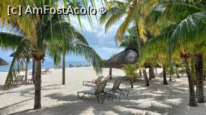 [P36] Dinarobin Beachcomber » foto by elenaadina
 - 
<span class="allrVoted glyphicon glyphicon-heart hidden" id="av1537418"></span>
<a class="m-l-10 hidden" id="sv1537418" onclick="voting_Foto_DelVot(,1537418,29403)" role="button">șterge vot <span class="glyphicon glyphicon-remove"></span></a>
<a id="v91537418" class=" c-red"  onclick="voting_Foto_SetVot(1537418)" role="button"><span class="glyphicon glyphicon-heart-empty"></span> <b>LIKE</b> = Votează poza</a> <img class="hidden"  id="f1537418W9" src="/imagini/loader.gif" border="0" /><span class="AjErrMes hidden" id="e1537418ErM"></span>