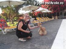 [P24] ne-am imprietenit, la marginea piscinei » foto by grecudoina
 - 
<span class="allrVoted glyphicon glyphicon-heart hidden" id="av399274"></span>
<a class="m-l-10 hidden" id="sv399274" onclick="voting_Foto_DelVot(,399274,29418)" role="button">șterge vot <span class="glyphicon glyphicon-remove"></span></a>
<a id="v9399274" class=" c-red"  onclick="voting_Foto_SetVot(399274)" role="button"><span class="glyphicon glyphicon-heart-empty"></span> <b>LIKE</b> = Votează poza</a> <img class="hidden"  id="f399274W9" src="/imagini/loader.gif" border="0" /><span class="AjErrMes hidden" id="e399274ErM"></span>