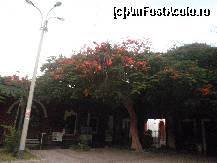 [P35] la intrarea in resort » foto by grecudoina
 - 
<span class="allrVoted glyphicon glyphicon-heart hidden" id="av399285"></span>
<a class="m-l-10 hidden" id="sv399285" onclick="voting_Foto_DelVot(,399285,29418)" role="button">șterge vot <span class="glyphicon glyphicon-remove"></span></a>
<a id="v9399285" class=" c-red"  onclick="voting_Foto_SetVot(399285)" role="button"><span class="glyphicon glyphicon-heart-empty"></span> <b>LIKE</b> = Votează poza</a> <img class="hidden"  id="f399285W9" src="/imagini/loader.gif" border="0" /><span class="AjErrMes hidden" id="e399285ErM"></span>