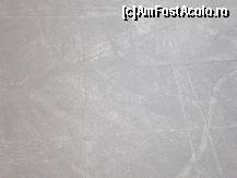[P46] imagine ratata in incercarea de a prinde pasarea Flamingo, deja nu imi era prea bine si ecitam sa ma uit in camera » foto by grecudoina
 - 
<span class="allrVoted glyphicon glyphicon-heart hidden" id="av399296"></span>
<a class="m-l-10 hidden" id="sv399296" onclick="voting_Foto_DelVot(,399296,29418)" role="button">șterge vot <span class="glyphicon glyphicon-remove"></span></a>
<a id="v9399296" class=" c-red"  onclick="voting_Foto_SetVot(399296)" role="button"><span class="glyphicon glyphicon-heart-empty"></span> <b>LIKE</b> = Votează poza</a> <img class="hidden"  id="f399296W9" src="/imagini/loader.gif" border="0" /><span class="AjErrMes hidden" id="e399296ErM"></span>