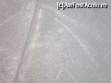 [P47] paianjenul, in partea de jos a imaginii » foto by grecudoina
 - 
<span class="allrVoted glyphicon glyphicon-heart hidden" id="av399297"></span>
<a class="m-l-10 hidden" id="sv399297" onclick="voting_Foto_DelVot(,399297,29418)" role="button">șterge vot <span class="glyphicon glyphicon-remove"></span></a>
<a id="v9399297" class=" c-red"  onclick="voting_Foto_SetVot(399297)" role="button"><span class="glyphicon glyphicon-heart-empty"></span> <b>LIKE</b> = Votează poza</a> <img class="hidden"  id="f399297W9" src="/imagini/loader.gif" border="0" /><span class="AjErrMes hidden" id="e399297ErM"></span>
