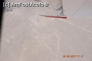 [P11] Condorul - poza needitata - si totusi din avion se vedeau mai bine, dar cred ca trebuiau alte setari la camera » foto by Pușcașu Marin
 - 
<span class="allrVoted glyphicon glyphicon-heart hidden" id="av916944"></span>
<a class="m-l-10 hidden" id="sv916944" onclick="voting_Foto_DelVot(,916944,29418)" role="button">șterge vot <span class="glyphicon glyphicon-remove"></span></a>
<a id="v9916944" class=" c-red"  onclick="voting_Foto_SetVot(916944)" role="button"><span class="glyphicon glyphicon-heart-empty"></span> <b>LIKE</b> = Votează poza</a> <img class="hidden"  id="f916944W9" src="/imagini/loader.gif" border="0" /><span class="AjErrMes hidden" id="e916944ErM"></span>