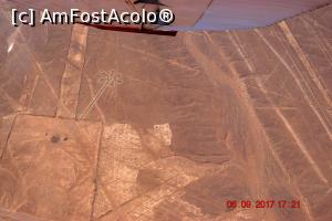 [P16] Floarea - primul geoglif bonus oferit de piloti » foto by Pușcașu Marin
 - 
<span class="allrVoted glyphicon glyphicon-heart hidden" id="av916949"></span>
<a class="m-l-10 hidden" id="sv916949" onclick="voting_Foto_DelVot(,916949,29418)" role="button">șterge vot <span class="glyphicon glyphicon-remove"></span></a>
<a id="v9916949" class=" c-red"  onclick="voting_Foto_SetVot(916949)" role="button"><span class="glyphicon glyphicon-heart-empty"></span> <b>LIKE</b> = Votează poza</a> <img class="hidden"  id="f916949W9" src="/imagini/loader.gif" border="0" /><span class="AjErrMes hidden" id="e916949ErM"></span>