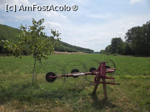 [P02] Mănăstirea Bogdănița » foto by adso
 - 
<span class="allrVoted glyphicon glyphicon-heart hidden" id="av1543315"></span>
<a class="m-l-10 hidden" id="sv1543315" onclick="voting_Foto_DelVot(,1543315,29444)" role="button">șterge vot <span class="glyphicon glyphicon-remove"></span></a>
<a id="v91543315" class=" c-red"  onclick="voting_Foto_SetVot(1543315)" role="button"><span class="glyphicon glyphicon-heart-empty"></span> <b>LIKE</b> = Votează poza</a> <img class="hidden"  id="f1543315W9" src="/imagini/loader.gif" border="0" /><span class="AjErrMes hidden" id="e1543315ErM"></span>