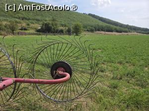 [P03] Mănăstirea Bogdănița » foto by adso
 - 
<span class="allrVoted glyphicon glyphicon-heart hidden" id="av1543316"></span>
<a class="m-l-10 hidden" id="sv1543316" onclick="voting_Foto_DelVot(,1543316,29444)" role="button">șterge vot <span class="glyphicon glyphicon-remove"></span></a>
<a id="v91543316" class=" c-red"  onclick="voting_Foto_SetVot(1543316)" role="button"><span class="glyphicon glyphicon-heart-empty"></span> <b>LIKE</b> = Votează poza</a> <img class="hidden"  id="f1543316W9" src="/imagini/loader.gif" border="0" /><span class="AjErrMes hidden" id="e1543316ErM"></span>