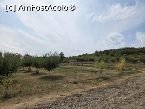[P06] Mănăstirea Bogdănița » foto by adso
 - 
<span class="allrVoted glyphicon glyphicon-heart hidden" id="av1543319"></span>
<a class="m-l-10 hidden" id="sv1543319" onclick="voting_Foto_DelVot(,1543319,29444)" role="button">șterge vot <span class="glyphicon glyphicon-remove"></span></a>
<a id="v91543319" class=" c-red"  onclick="voting_Foto_SetVot(1543319)" role="button"><span class="glyphicon glyphicon-heart-empty"></span> <b>LIKE</b> = Votează poza</a> <img class="hidden"  id="f1543319W9" src="/imagini/loader.gif" border="0" /><span class="AjErrMes hidden" id="e1543319ErM"></span>