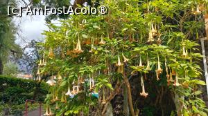 [P52] Grădina tropicală a hotelului » foto by elenaadina
 - 
<span class="allrVoted glyphicon glyphicon-heart hidden" id="av1545770"></span>
<a class="m-l-10 hidden" id="sv1545770" onclick="voting_Foto_DelVot(,1545770,29450)" role="button">șterge vot <span class="glyphicon glyphicon-remove"></span></a>
<a id="v91545770" class=" c-red"  onclick="voting_Foto_SetVot(1545770)" role="button"><span class="glyphicon glyphicon-heart-empty"></span> <b>LIKE</b> = Votează poza</a> <img class="hidden"  id="f1545770W9" src="/imagini/loader.gif" border="0" /><span class="AjErrMes hidden" id="e1545770ErM"></span>