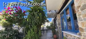 [P14] Foinikas Studios, grădina și patio-urile sale » foto by irinad
 - 
<span class="allrVoted glyphicon glyphicon-heart hidden" id="av1546355"></span>
<a class="m-l-10 hidden" id="sv1546355" onclick="voting_Foto_DelVot(,1546355,29457)" role="button">șterge vot <span class="glyphicon glyphicon-remove"></span></a>
<a id="v91546355" class=" c-red"  onclick="voting_Foto_SetVot(1546355)" role="button"><span class="glyphicon glyphicon-heart-empty"></span> <b>LIKE</b> = Votează poza</a> <img class="hidden"  id="f1546355W9" src="/imagini/loader.gif" border="0" /><span class="AjErrMes hidden" id="e1546355ErM"></span>