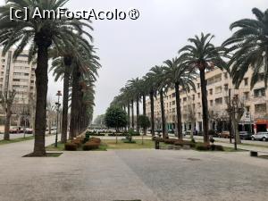 [P03] Av. Hassan II » foto by adso
 - 
<span class="allrVoted glyphicon glyphicon-heart hidden" id="av1546301"></span>
<a class="m-l-10 hidden" id="sv1546301" onclick="voting_Foto_DelVot(,1546301,29458)" role="button">șterge vot <span class="glyphicon glyphicon-remove"></span></a>
<a id="v91546301" class=" c-red"  onclick="voting_Foto_SetVot(1546301)" role="button"><span class="glyphicon glyphicon-heart-empty"></span> <b>LIKE</b> = Votează poza</a> <img class="hidden"  id="f1546301W9" src="/imagini/loader.gif" border="0" /><span class="AjErrMes hidden" id="e1546301ErM"></span>