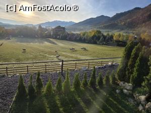 [P26] Peisaj bucolic » foto by crismis
 - 
<span class="allrVoted glyphicon glyphicon-heart hidden" id="av1549964"></span>
<a class="m-l-10 hidden" id="sv1549964" onclick="voting_Foto_DelVot(,1549964,29477)" role="button">șterge vot <span class="glyphicon glyphicon-remove"></span></a>
<a id="v91549964" class=" c-red"  onclick="voting_Foto_SetVot(1549964)" role="button"><span class="glyphicon glyphicon-heart-empty"></span> <b>LIKE</b> = Votează poza</a> <img class="hidden"  id="f1549964W9" src="/imagini/loader.gif" border="0" /><span class="AjErrMes hidden" id="e1549964ErM"></span>