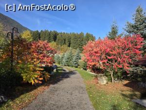 [P38] Pe aleea dintre hotel și Nomad » foto by crismis
 - 
<span class="allrVoted glyphicon glyphicon-heart hidden" id="av1549976"></span>
<a class="m-l-10 hidden" id="sv1549976" onclick="voting_Foto_DelVot(,1549976,29477)" role="button">șterge vot <span class="glyphicon glyphicon-remove"></span></a>
<a id="v91549976" class=" c-red"  onclick="voting_Foto_SetVot(1549976)" role="button"><span class="glyphicon glyphicon-heart-empty"></span> <b>LIKE</b> = Votează poza</a> <img class="hidden"  id="f1549976W9" src="/imagini/loader.gif" border="0" /><span class="AjErrMes hidden" id="e1549976ErM"></span>