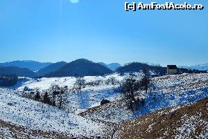 fotografii din vacanta la Pensiunea Pui de Urs [Șirnea]